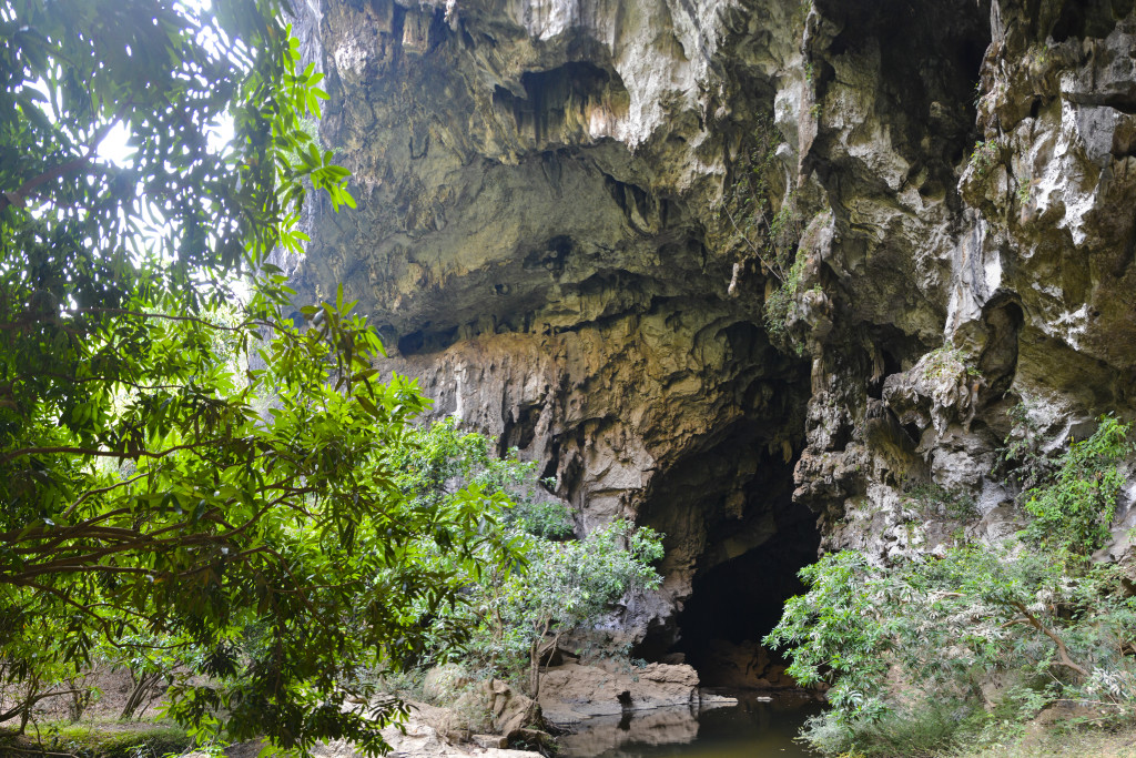 Green Climber's Home Cave